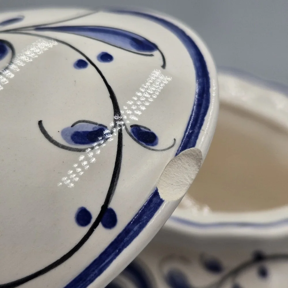 VTG Anfora Agueda Portugal Hand Painted Porcelain 10